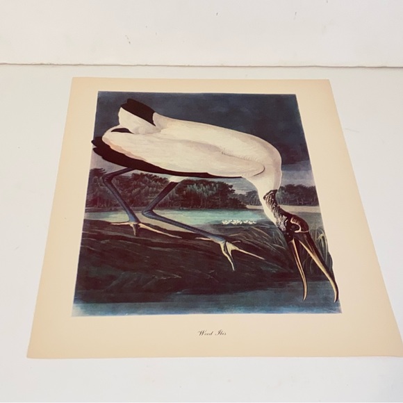 Vintage Audubon John James Birds of America Wood Ibis Bird Lithograph Art Print - Picture 2 of 5